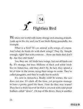 Flightless Bird绘本故事第2页