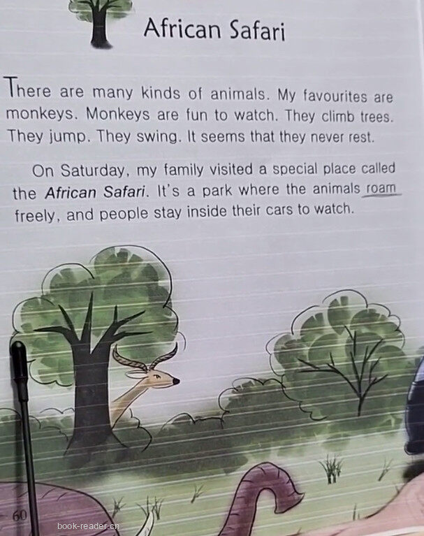 African Safari绘本故事第2页