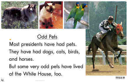 Weird White House Pets	绘本故事第3页