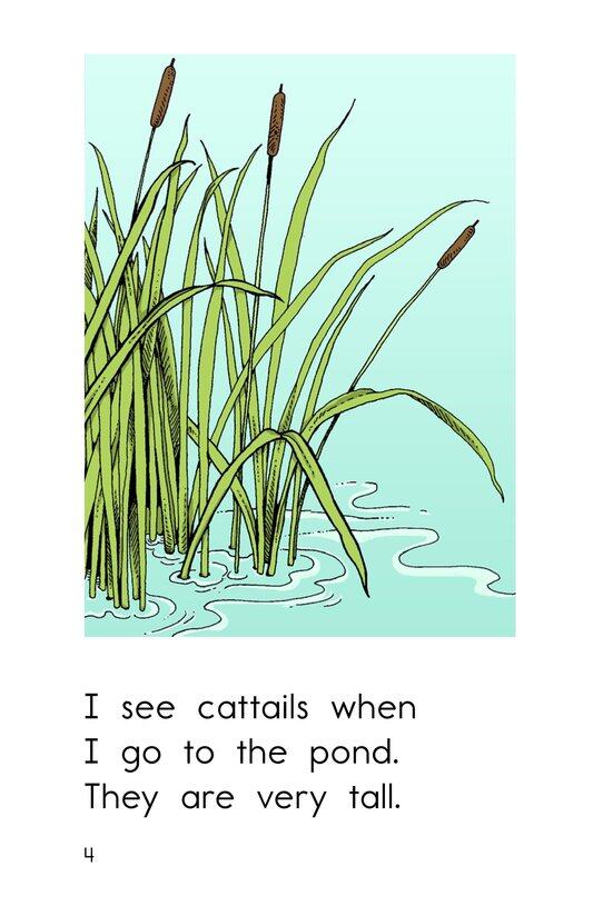 The Busy Pond绘本故事第4页