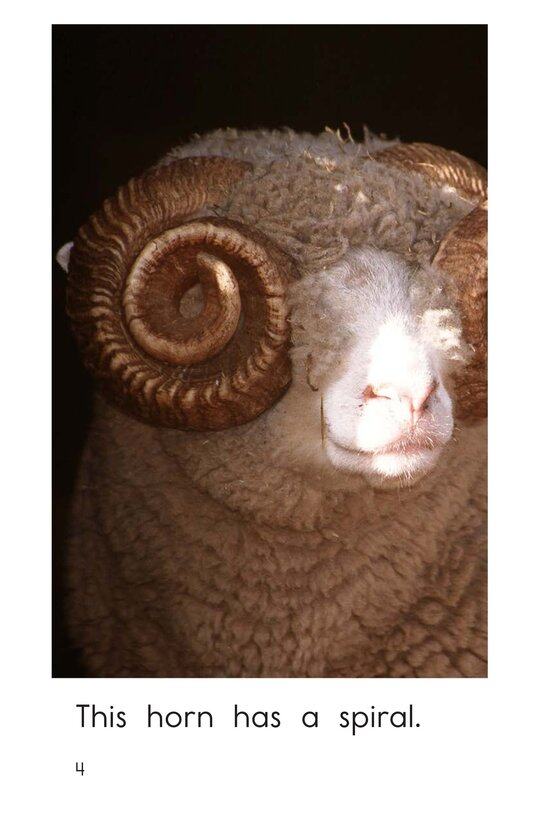 Spirals,Spirals Everywhere绘本故事第4页