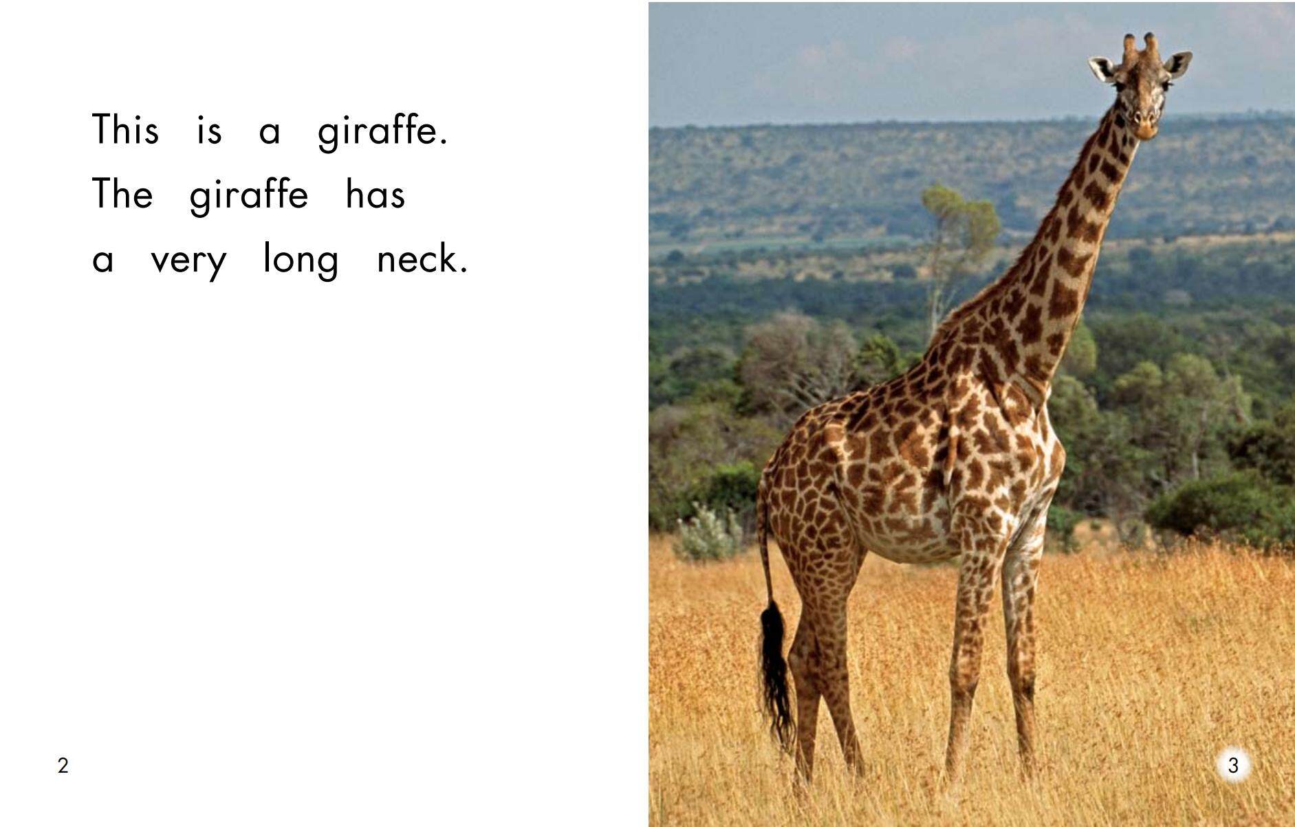 What is very long绘本故事第3页