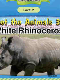 White Rhinoceros