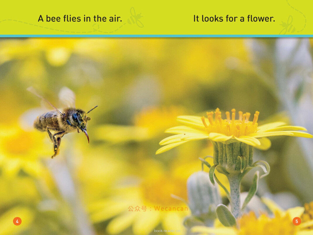 Buzz Bee绘本故事第4页