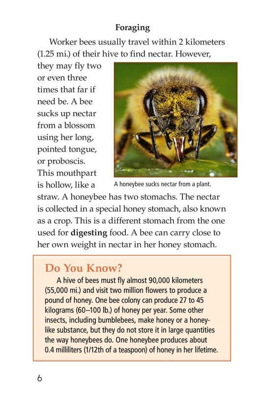 How Bees Make Honey绘本故事第5页