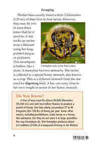 How Bees Make Honey绘本故事第5页