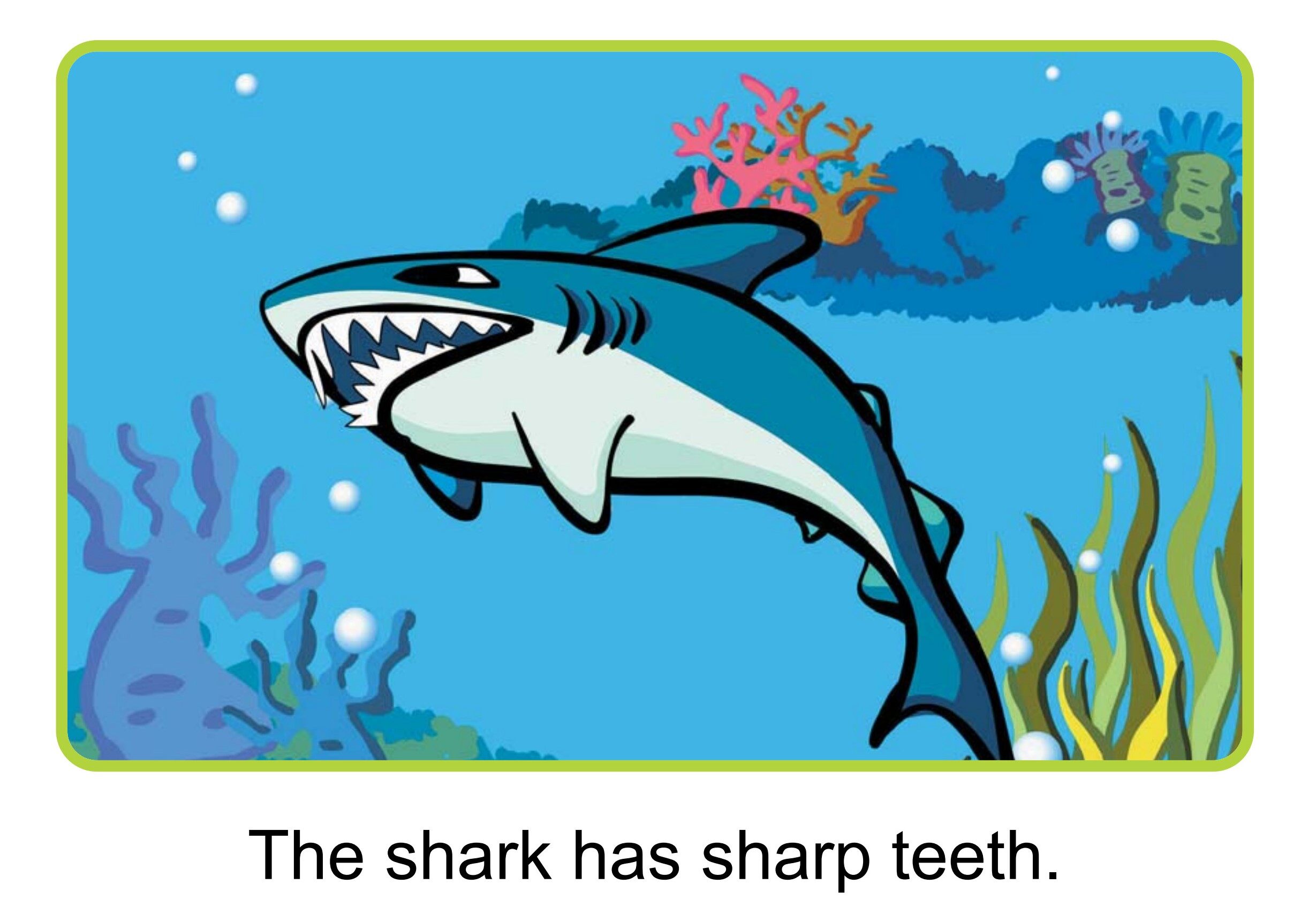 What Is in the Sea绘本故事第5页