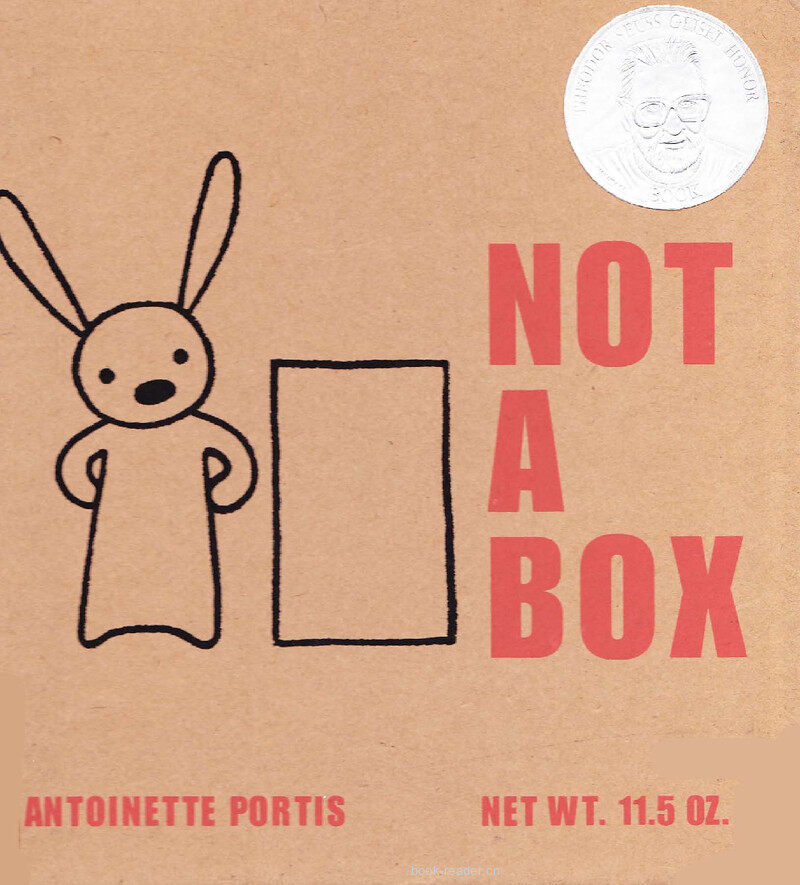 Not a Box绘本故事第2页