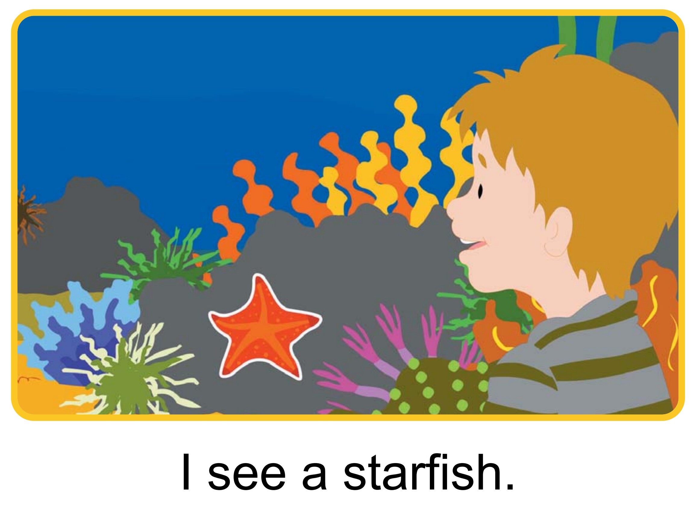 What Do You See?绘本故事第3页