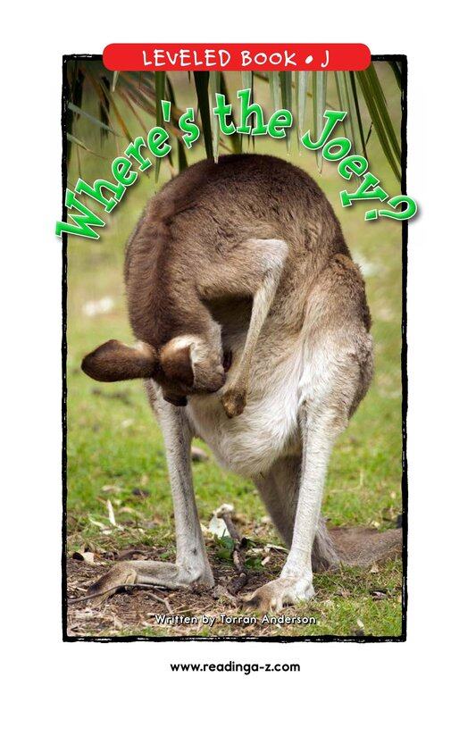 Where's the Joey绘本故事第2页