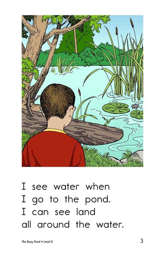 The Busy Pond绘本故事第3页