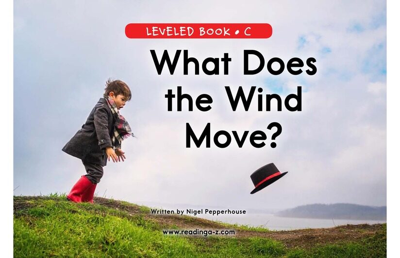 What Does the Wind Move绘本故事第2页