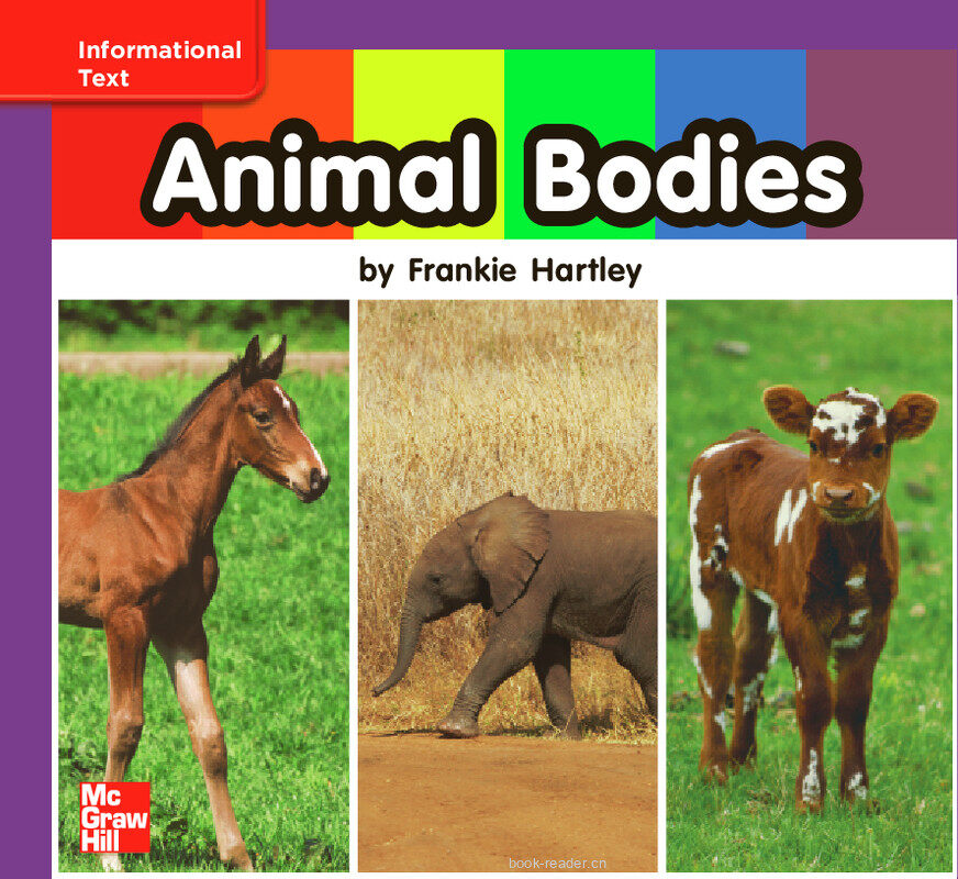 GK ELL U07W1 Animal Bodies绘本故事第2页