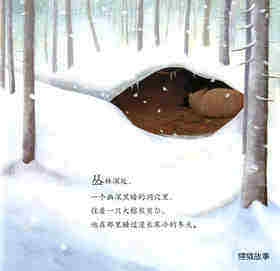 暖房子经典绘本系列·第七辑·贝尔熊:贝尔熊打呼噜绘本故事第2页