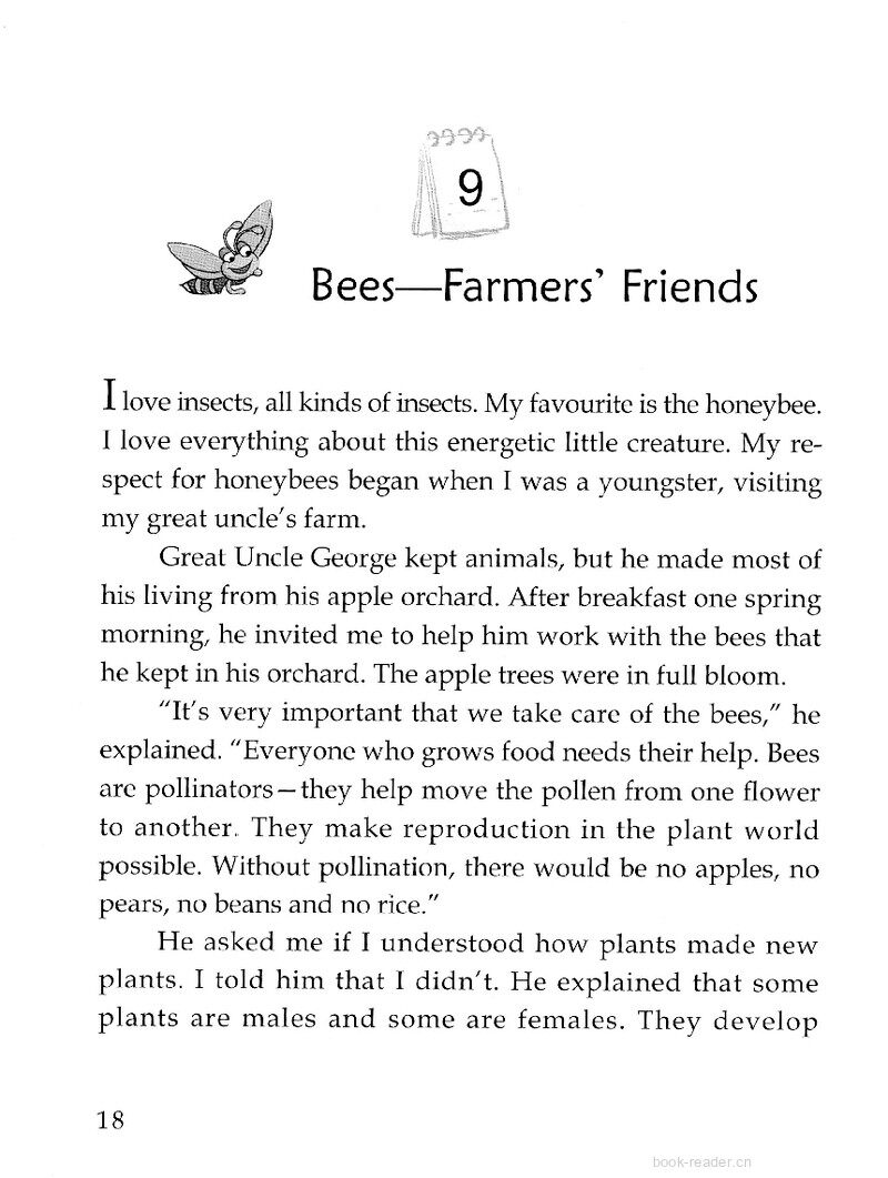 Bees-Farmers' Friends绘本故事第2页
