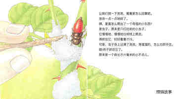 泡泡里的住户沫蝉绘本故事第5页
