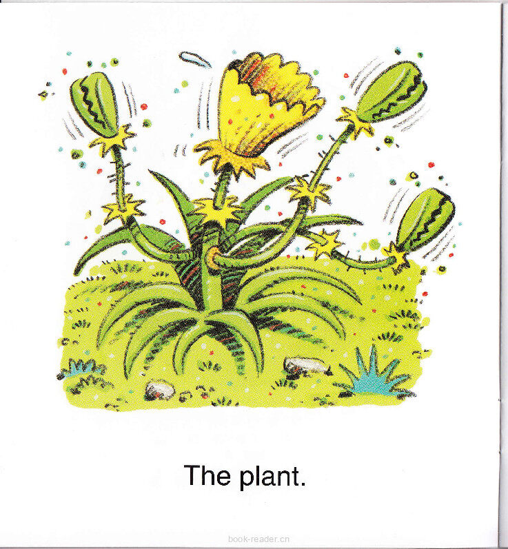 The Plant绘本故事第3页