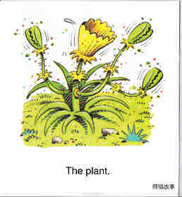 The Plant绘本故事第3页