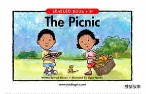 The Picnic