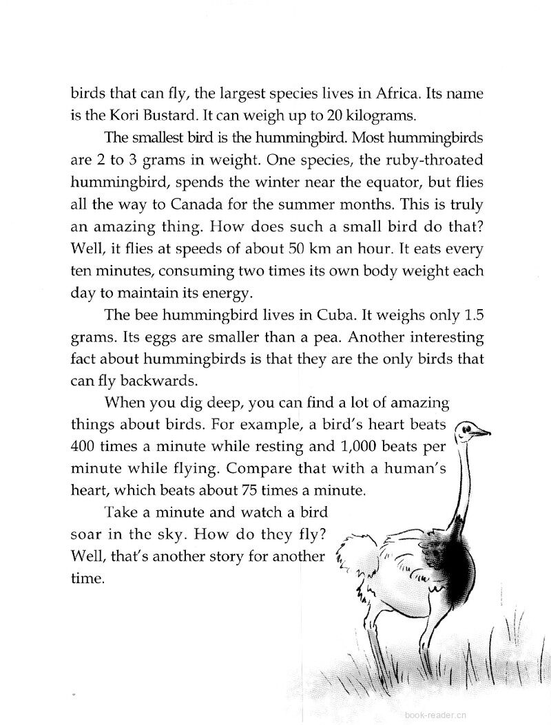 Birds of the World绘本故事第3页