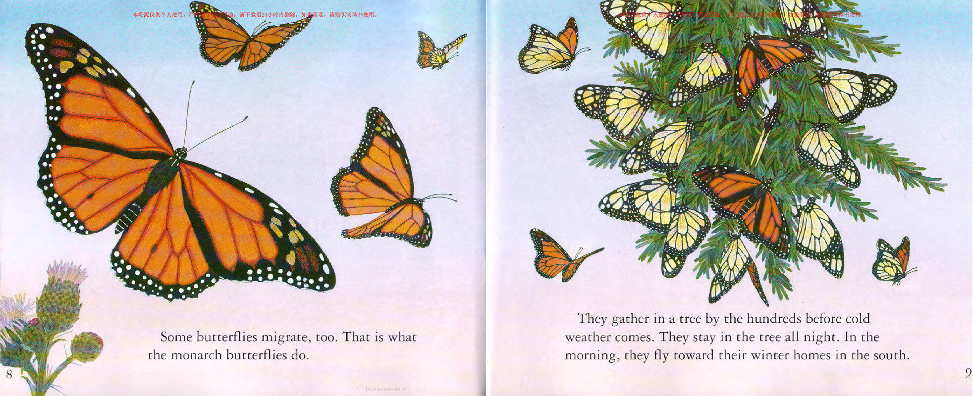 Animals in Winter绘本故事第5页