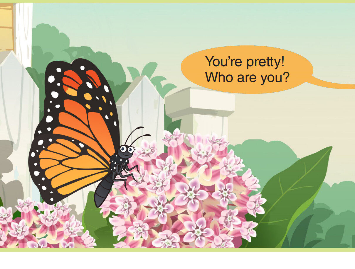 Monarch Butterfly绘本故事第2页