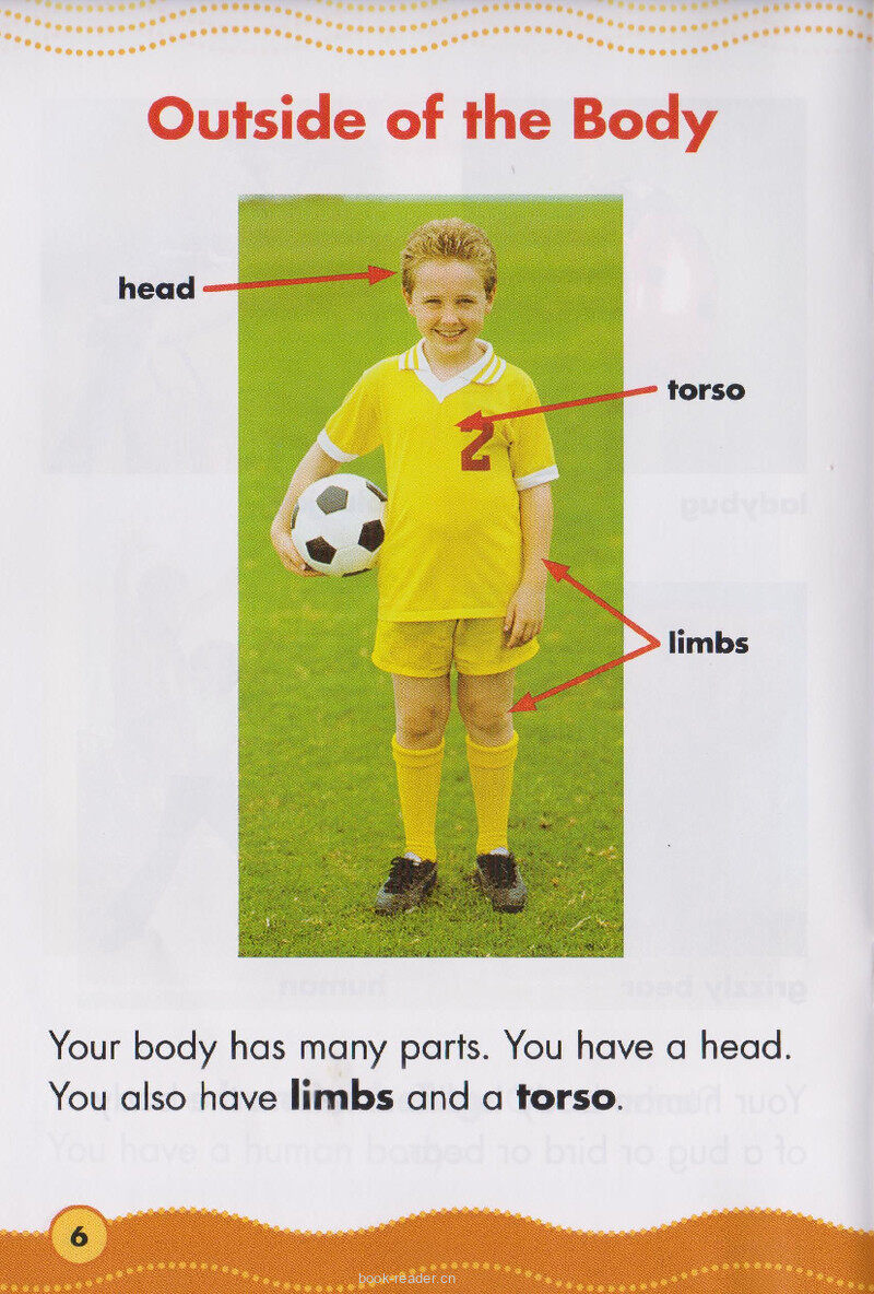 The Amazing Human Body绘本故事第5页