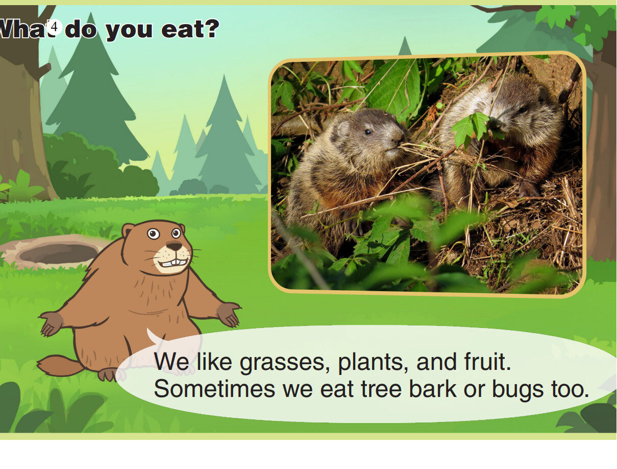 Groundhog绘本故事第5页