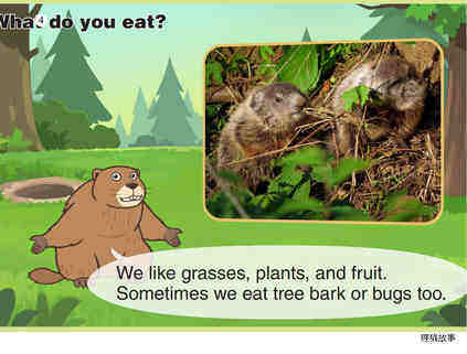 Groundhog绘本故事第5页