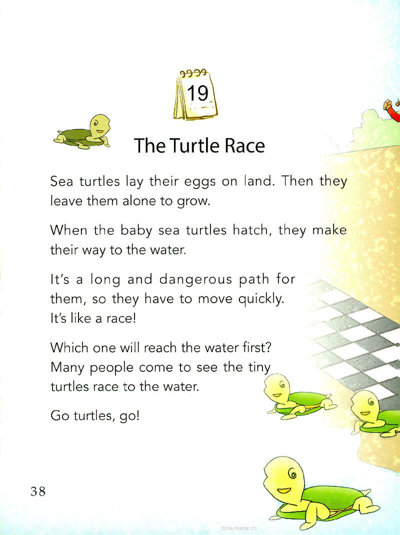 The Turtle Race绘本故事第2页