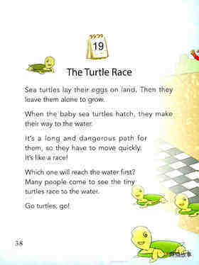 The Turtle Race绘本故事第2页