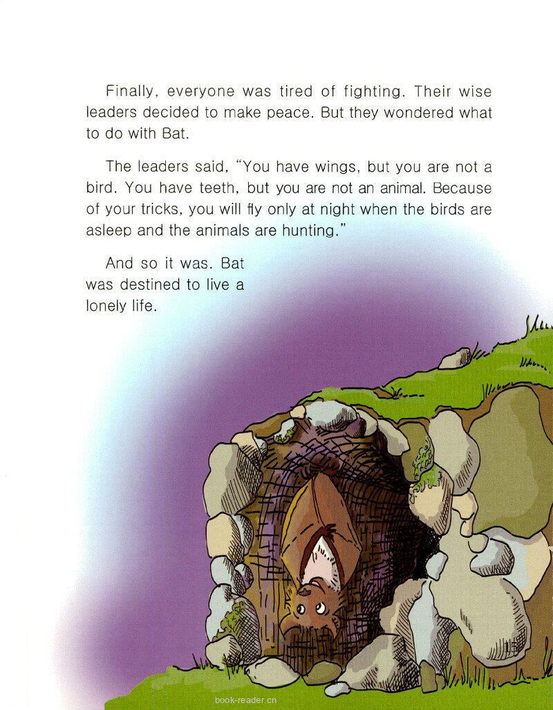 Is Bat a Bird? (II)绘本故事第3页