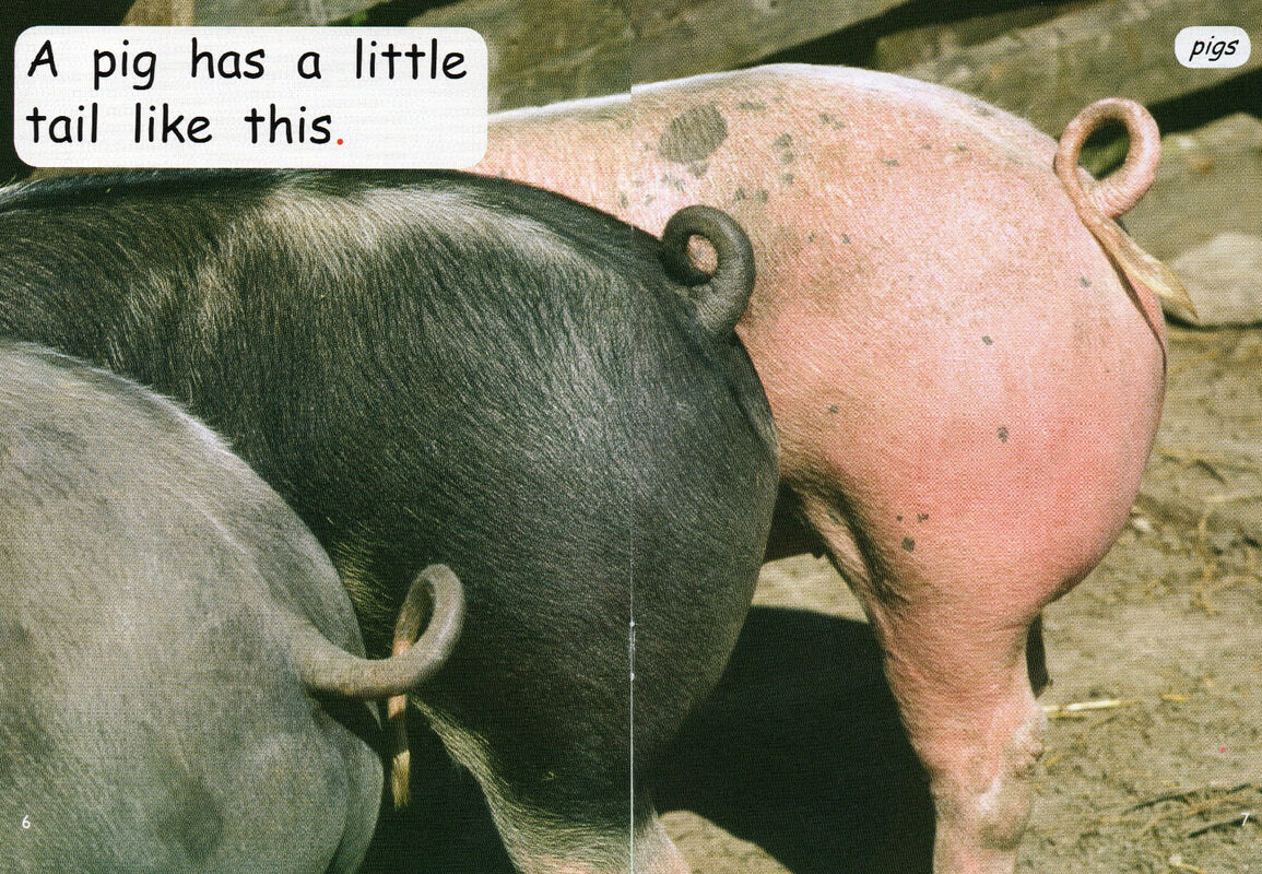 whose tail is this绘本故事第5页