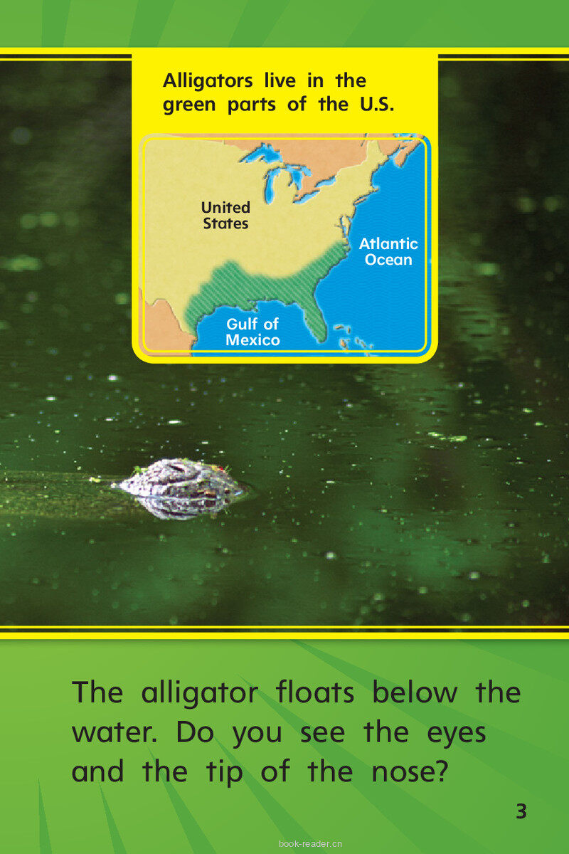 G1 On U4W3 Go, Gator!绘本故事第5页