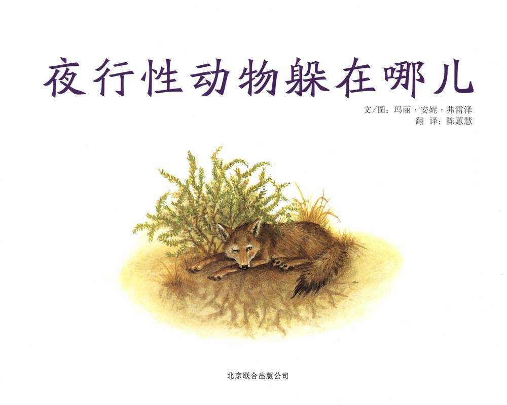 自然科学启蒙（第三辑）——夜行性动物躲在哪儿绘本故事第1页