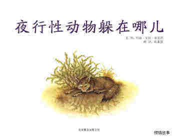 自然科学启蒙（第三辑）——夜行性动物躲在哪儿绘本故事第1页