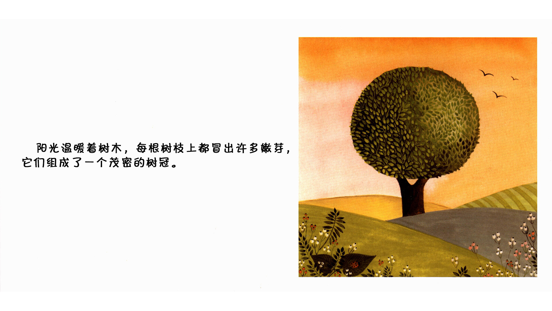 树绘本故事第4页