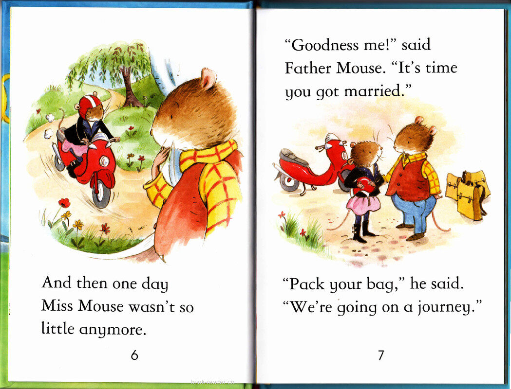 The Mouse's Wedding绘本故事第5页