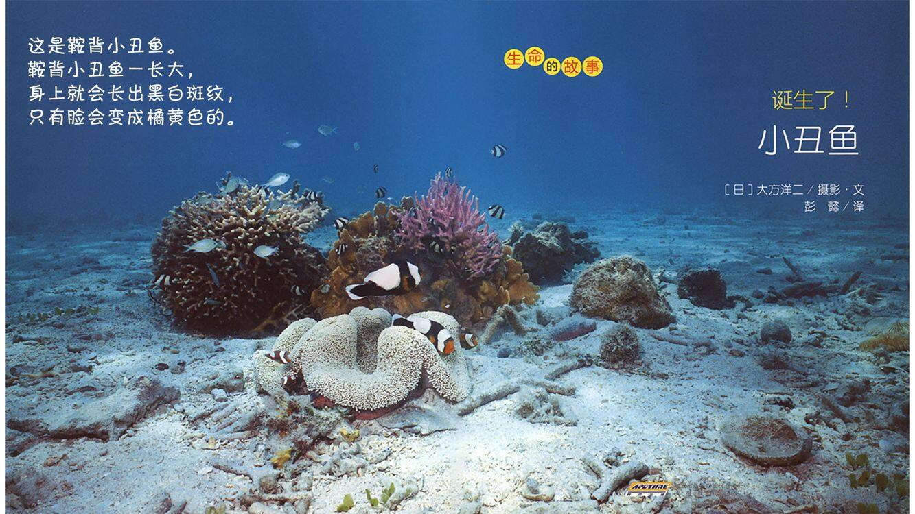 诞生了！小丑鱼绘本故事第5页