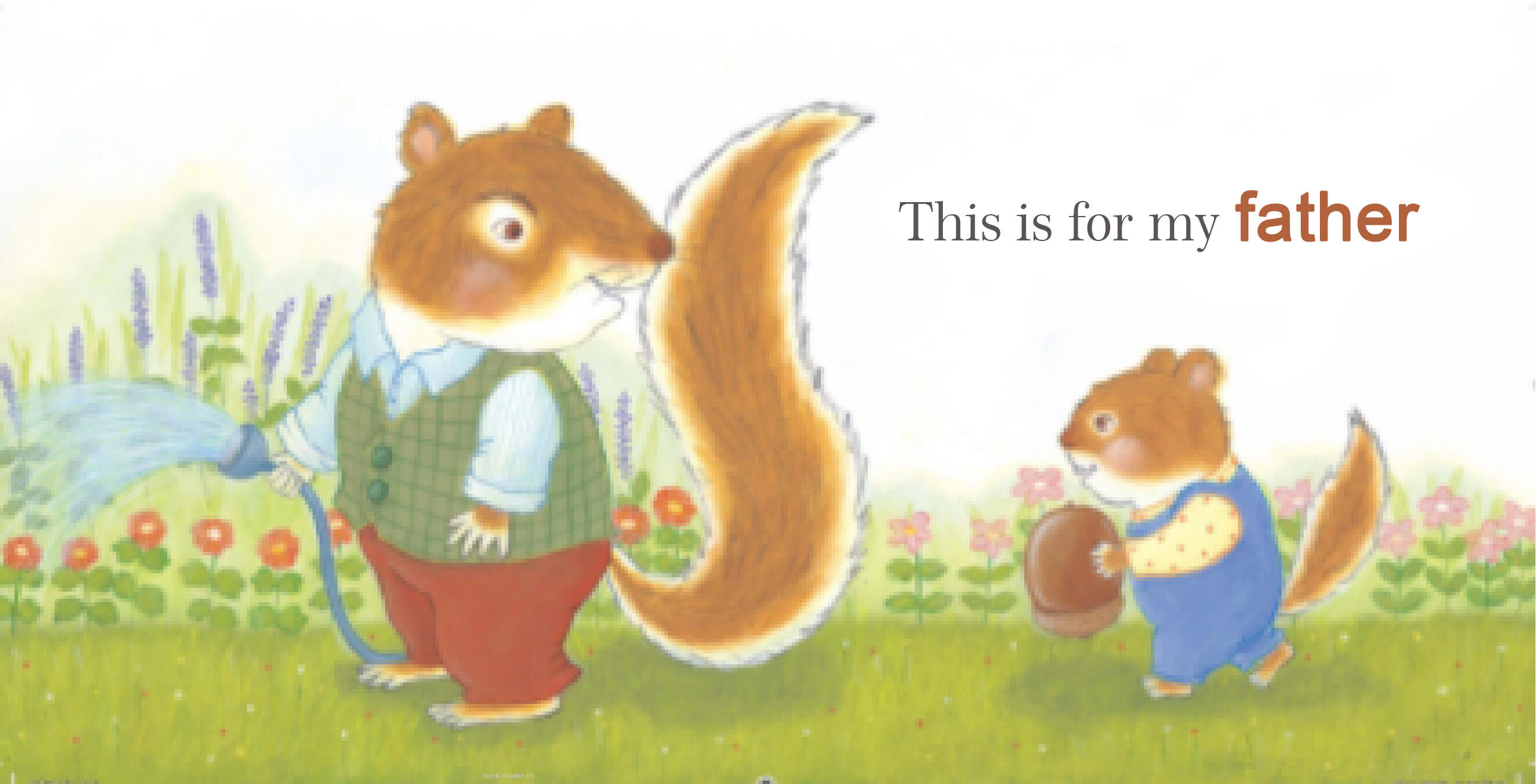 My Family绘本故事第3页