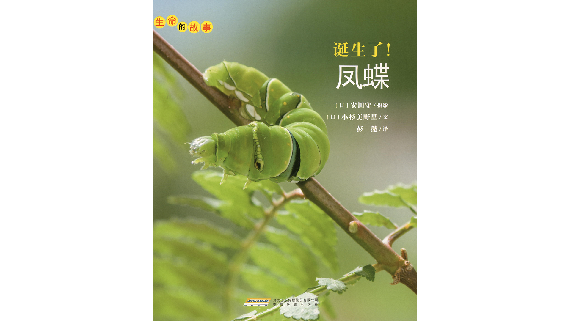 诞生了！凤蝶绘本故事第2页