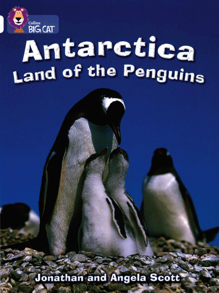 Antarctica Land of the Penguins绘本故事第2页