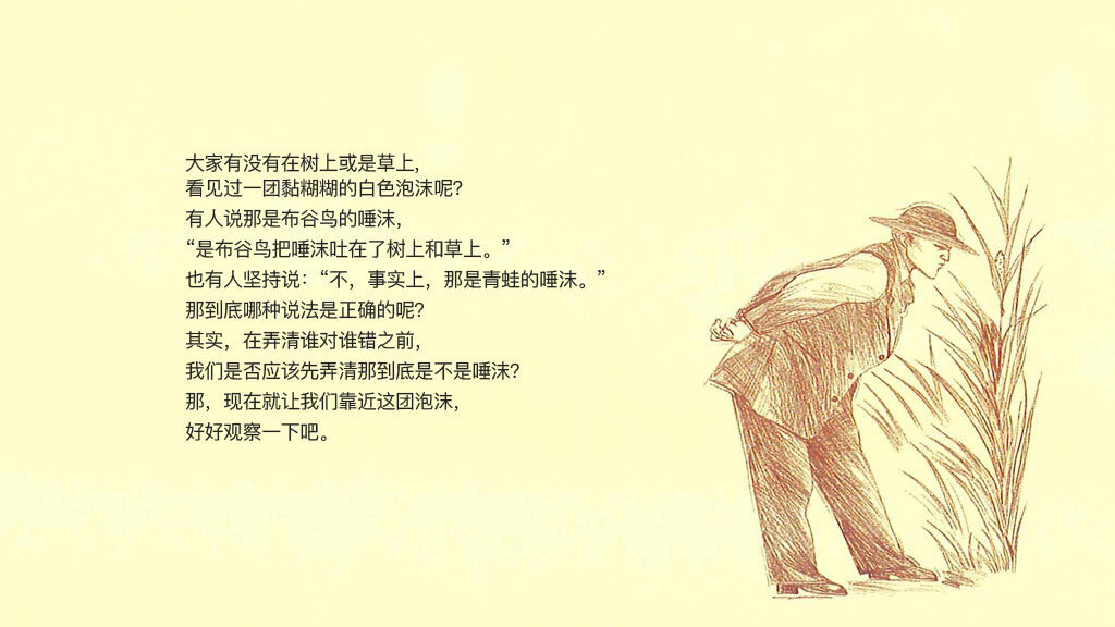 泡泡里的住户沫蝉绘本故事第3页