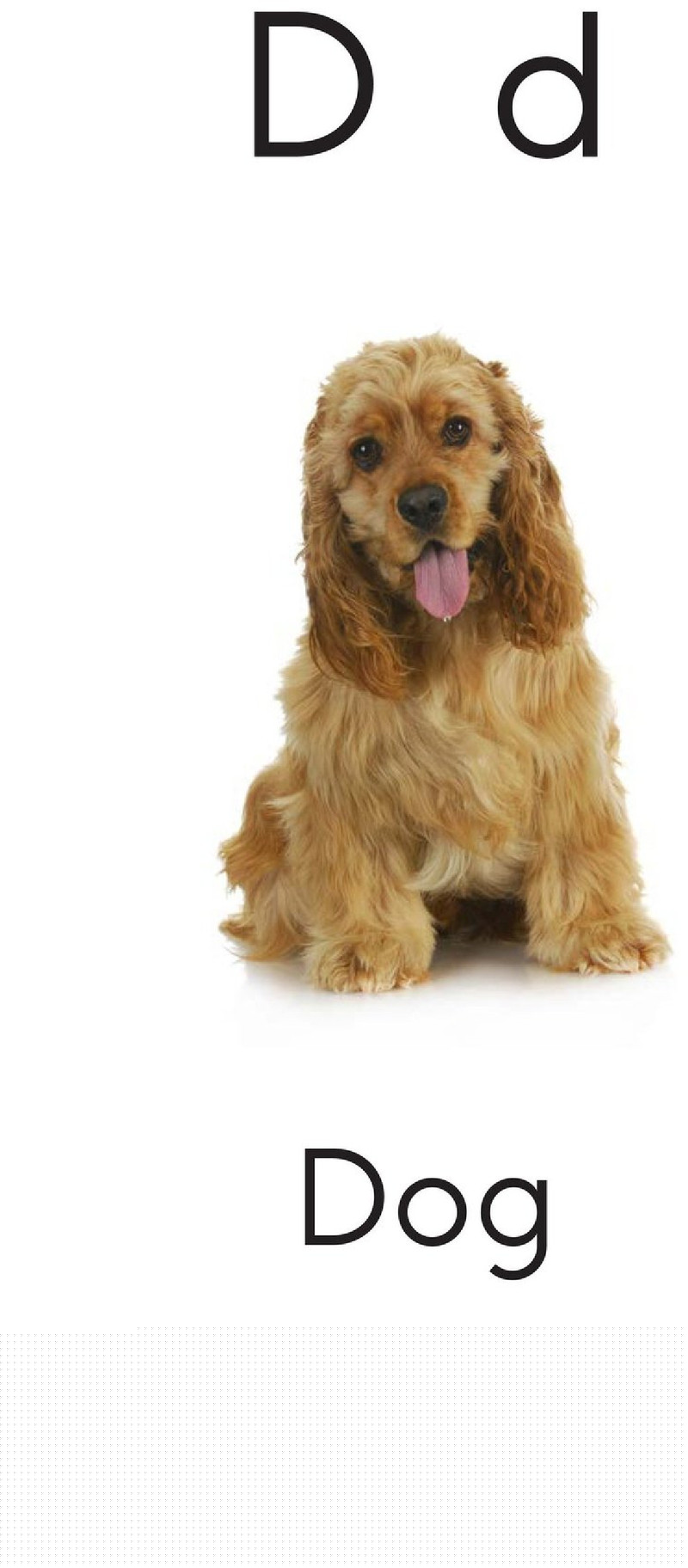 Letter D绘本故事第4页