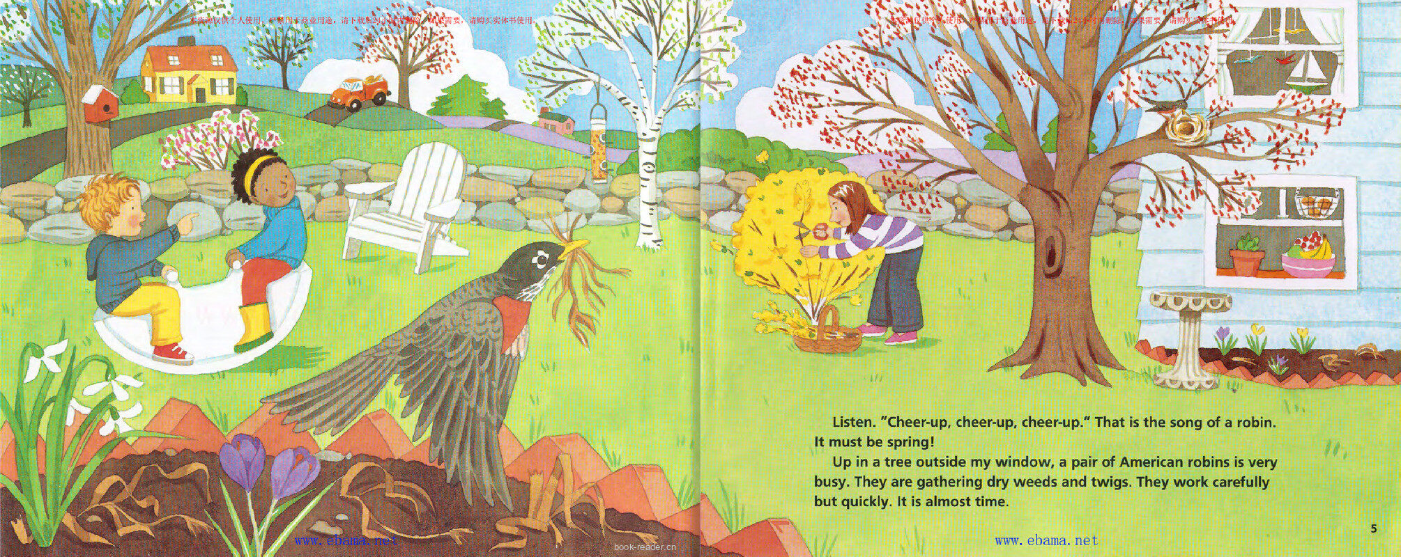 A Nest Full of Eggs绘本故事第3页