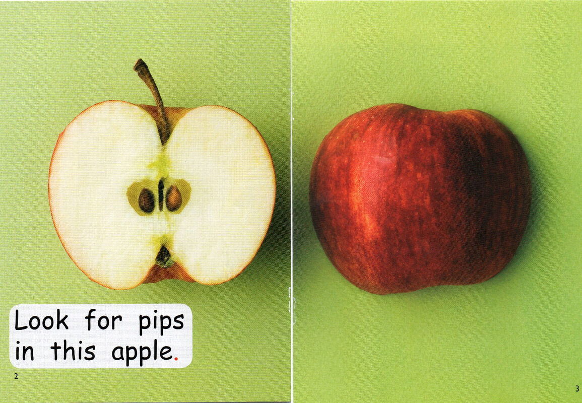 what is inside？绘本故事第3页