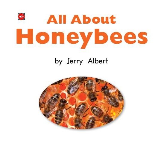 All About Honeybees绘本故事第2页