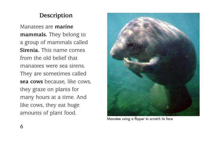 Manatees绘本故事第5页