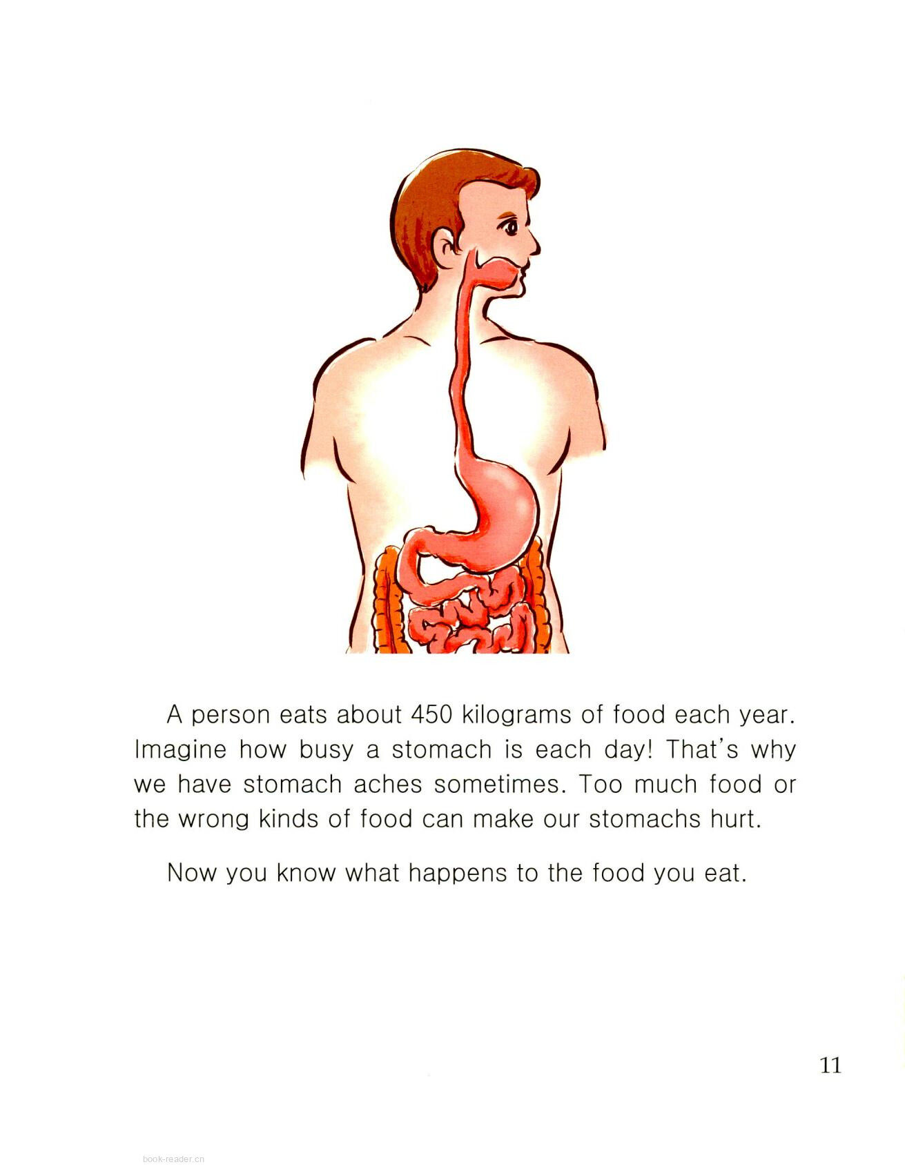 Where Does Our Food Go?绘本故事第3页