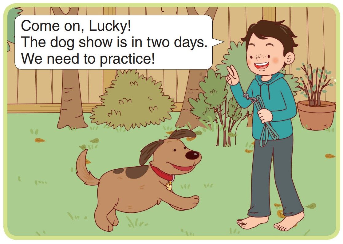 Getting Ready for the Dog Show绘本故事第3页